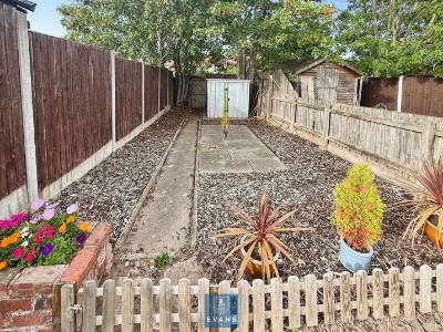 Picture 11